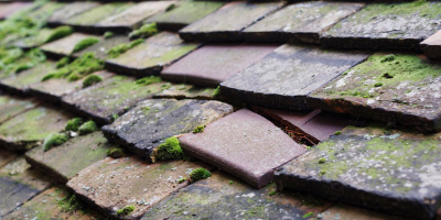 Puxton roof repair costs